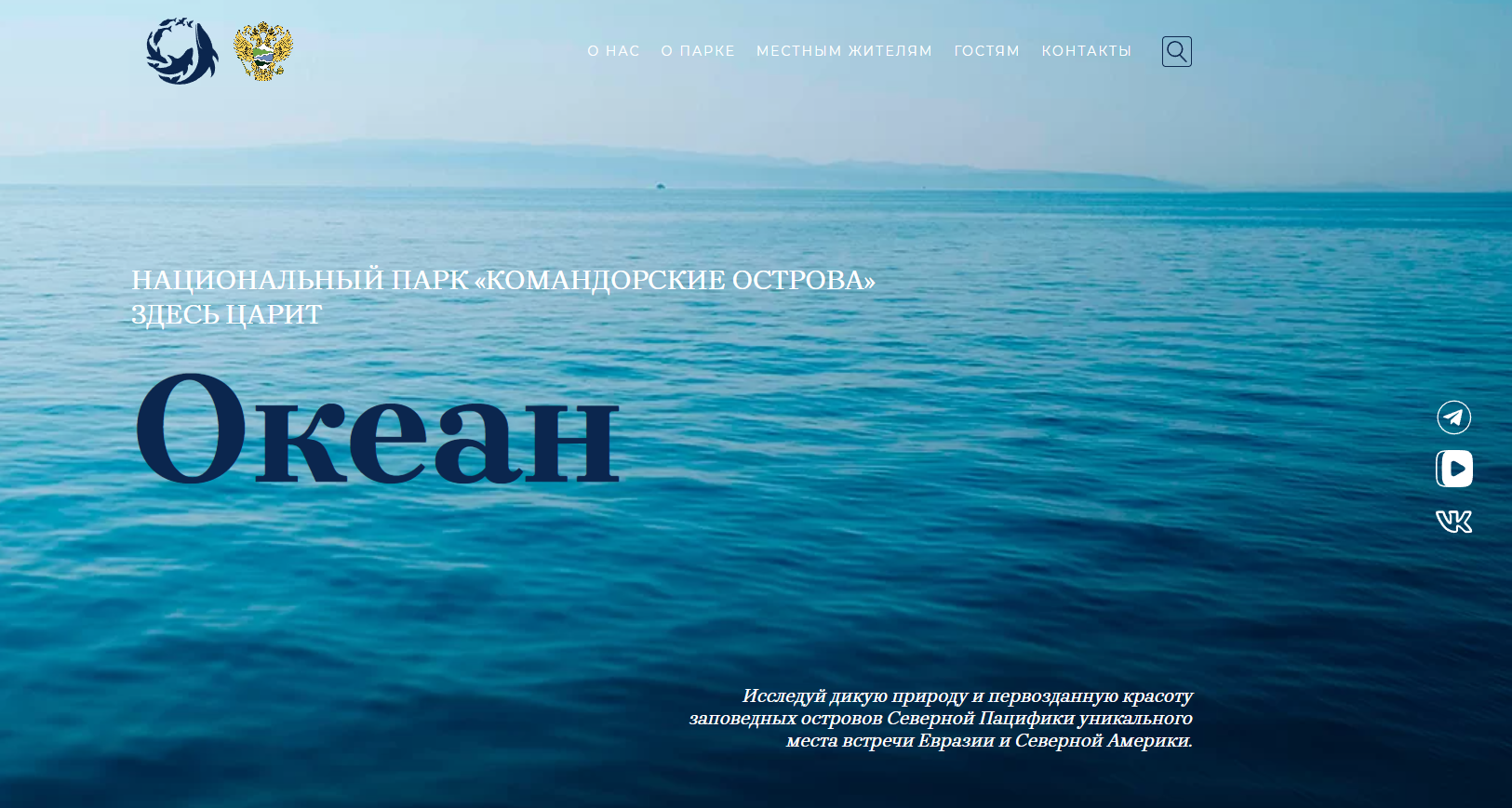 Первая картинка
