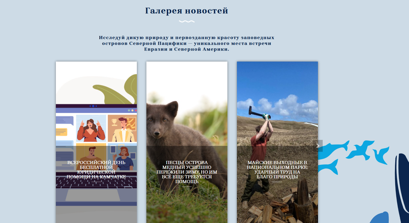 Вторая картинка